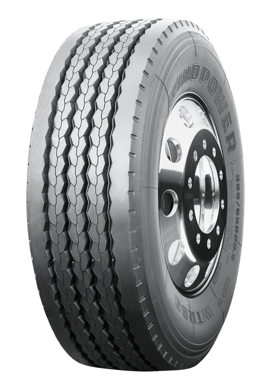 425/65R22.5 20PR WTR69 (TBR)